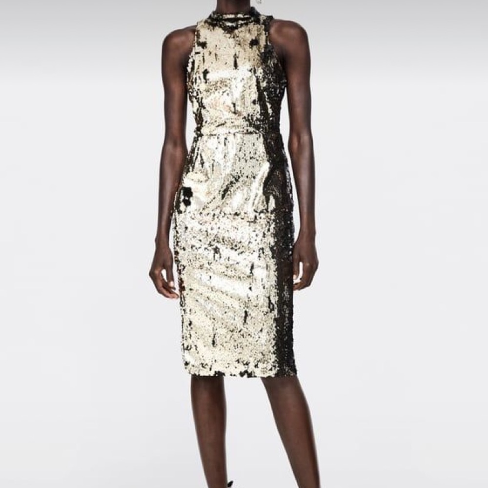 Zara dress
